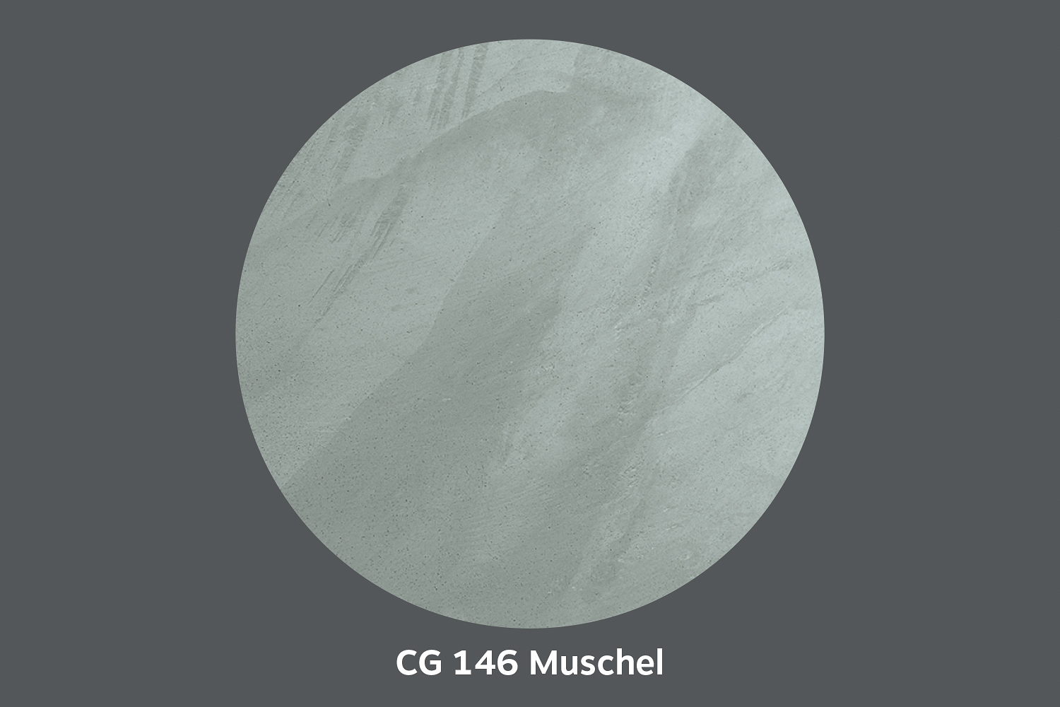 conluto Lehm Glätte · CG146 Muschel conluto Lehm Glätte · CG146 Muschel